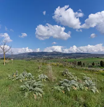 Foto annuncio 30