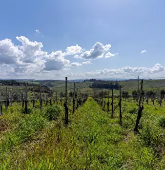 Foto annuncio 34