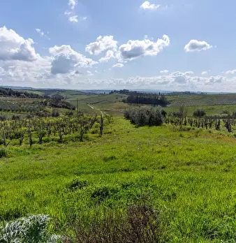 Foto annuncio 17
