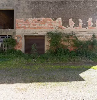 Foto annuncio 26