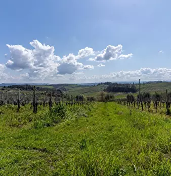 Foto annuncio 29