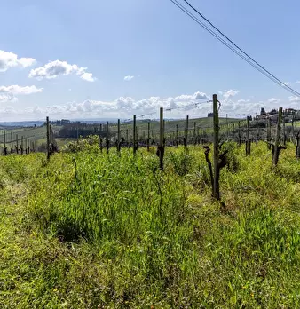 Foto annuncio 32