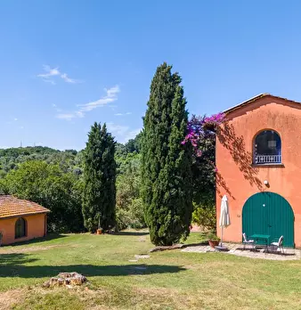 Foto annuncio 80