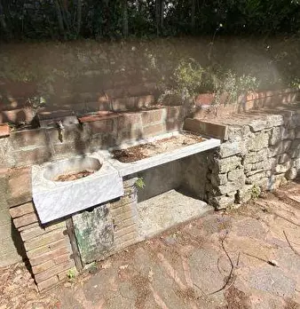 Foto annuncio 13