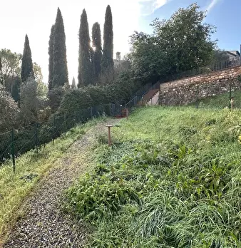 Foto annuncio 9