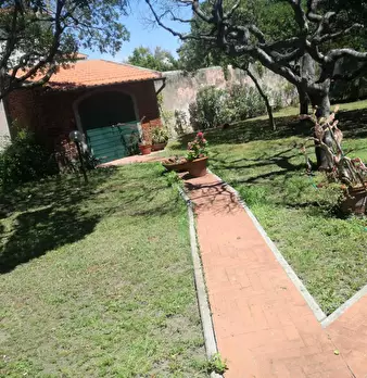 Foto annuncio 2