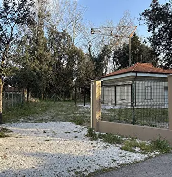 Foto annuncio 9