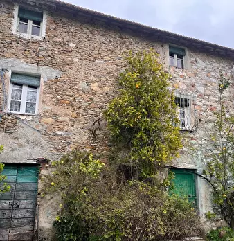 Foto annuncio 7