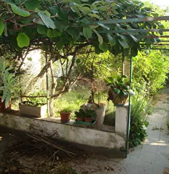 Foto annuncio 7