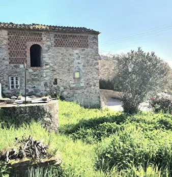 Foto annuncio 37