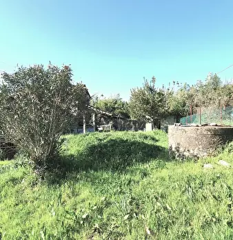 Foto annuncio 42