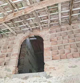 Foto annuncio 31