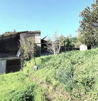 Foto annuncio 41