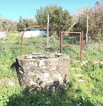 Foto annuncio 38