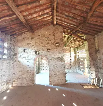 Foto annuncio 5