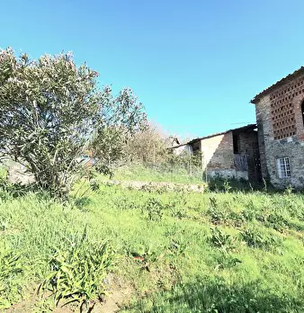 Foto annuncio 40