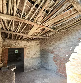 Foto annuncio 24