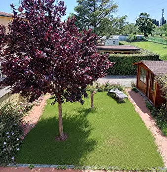 Foto annuncio 56