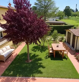 Foto annuncio 5