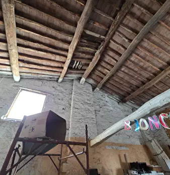Foto annuncio 12