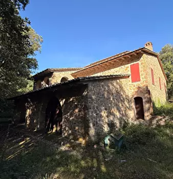 Foto annuncio 4