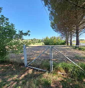 Foto annuncio 73