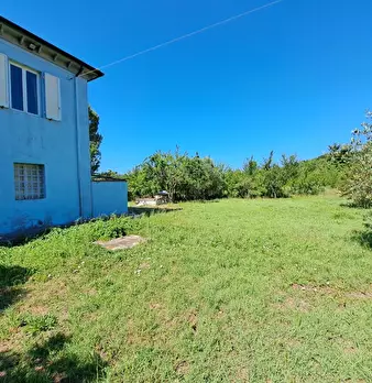 Foto annuncio 10