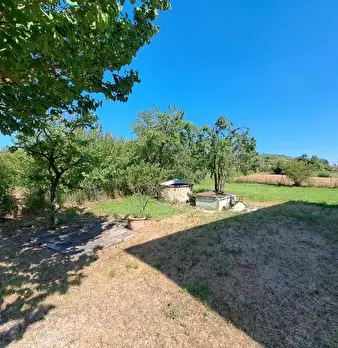 Foto annuncio 74
