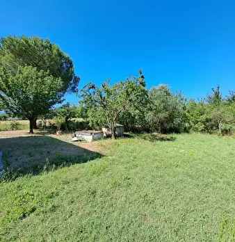 Foto annuncio 66