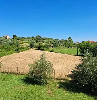 Foto annuncio 70