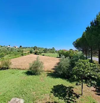 Foto annuncio 71