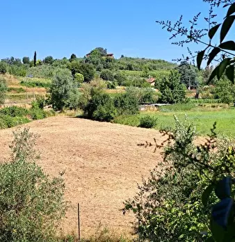 Foto annuncio 64