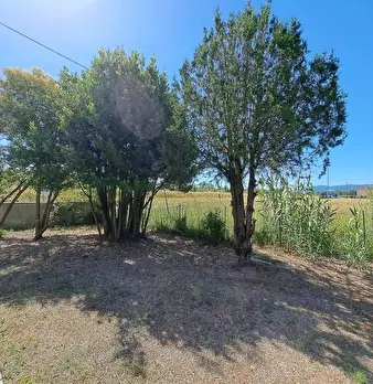 Foto annuncio 67