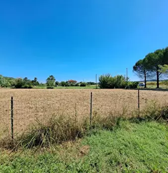 Foto annuncio 68