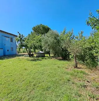 Foto annuncio 9