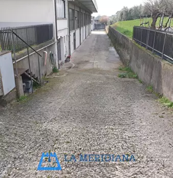 Foto annuncio 22