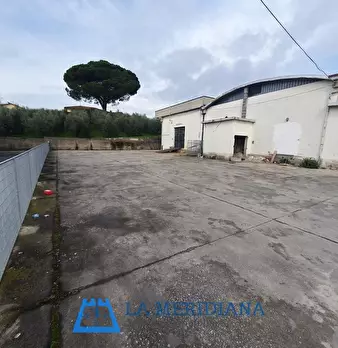 Foto annuncio 18