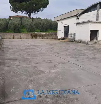 Foto annuncio 20