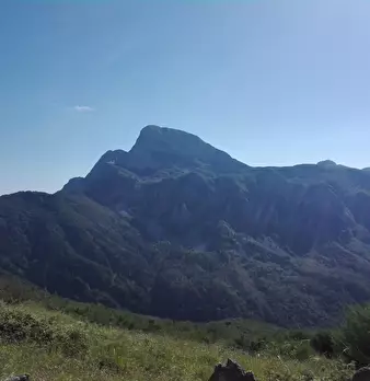 Foto annuncio 22