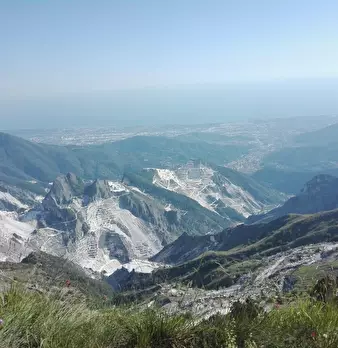 Foto annuncio 13