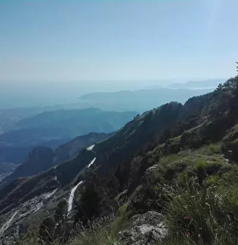 Foto annuncio 21