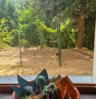 Foto annuncio 29