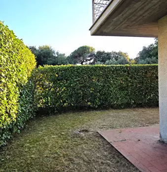 Foto annuncio 28
