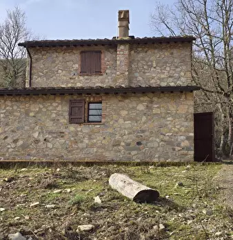 Foto annuncio 11