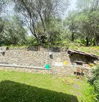 Foto annuncio 21