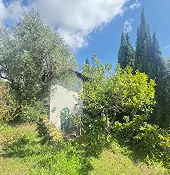 Foto annuncio 17