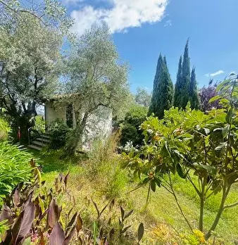 Foto annuncio 19