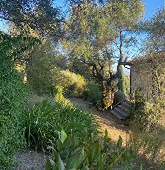 Foto annuncio 27