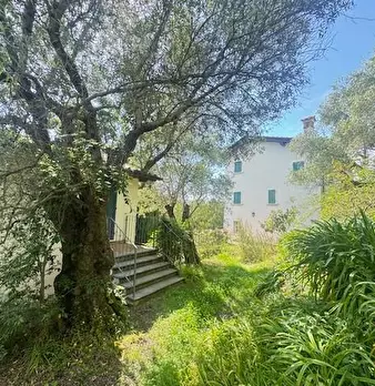 Foto annuncio 61