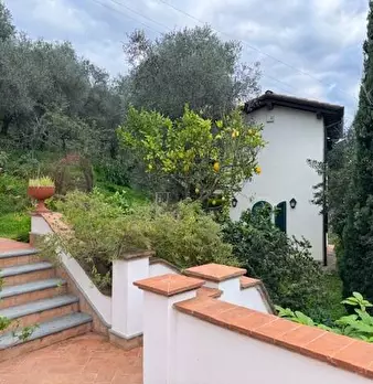 Foto annuncio 47